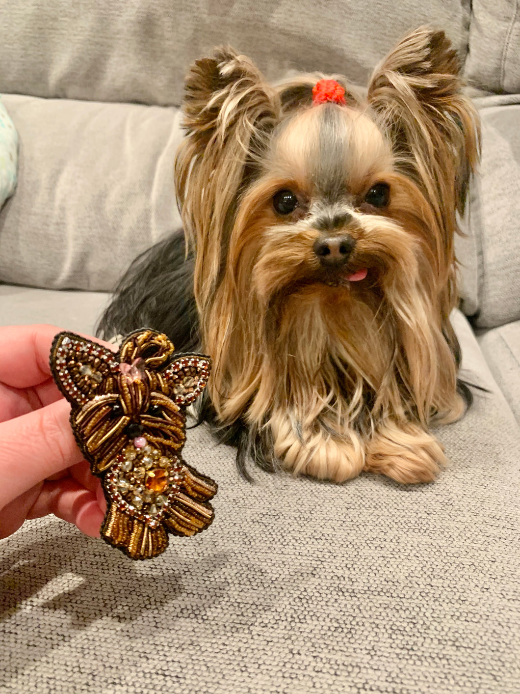 Beaded Yorkie Dog Brooch Pin, 3.25